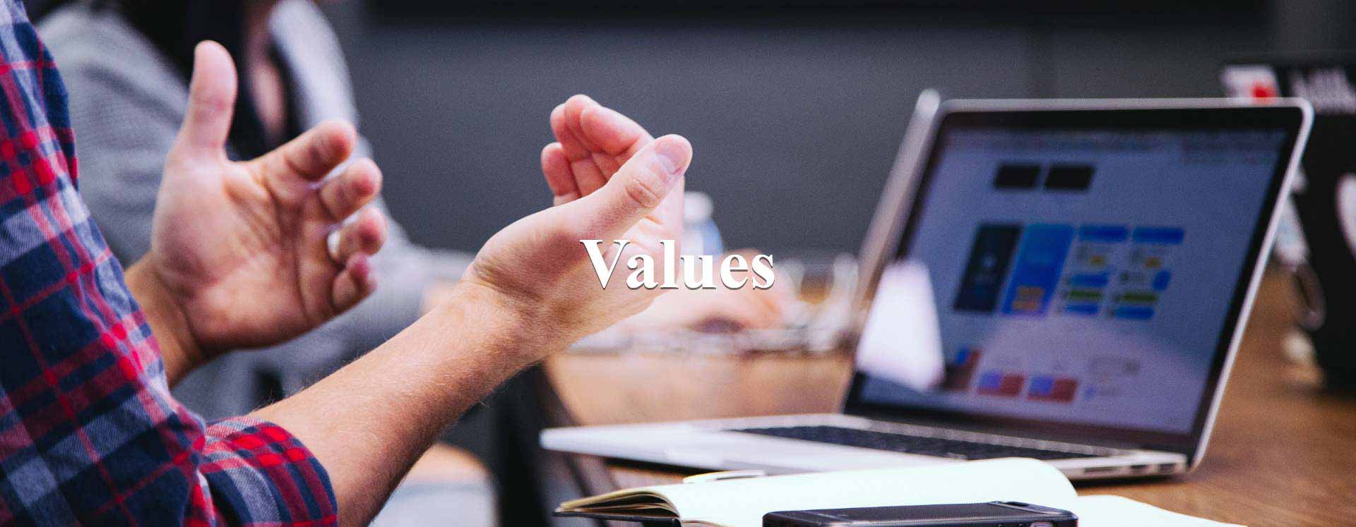 Venace Values