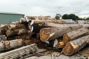Timber Market 300x200