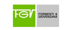 FGV