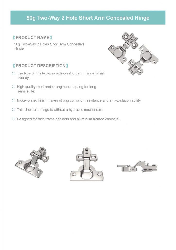 3 50 G Two Way 2 Holes Short Arm Concealed Hinge 页面 1 724x1024