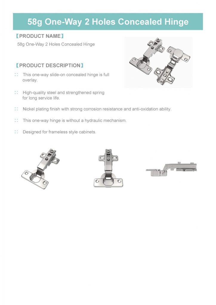 3 58g One Way 2 Holes Concealed Hinge 页面 1 724x1024