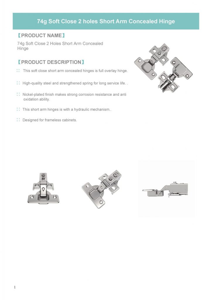 3 74g Soft Close 2 Hole Short Arm Concealed Hinge 页面 1 724x1024